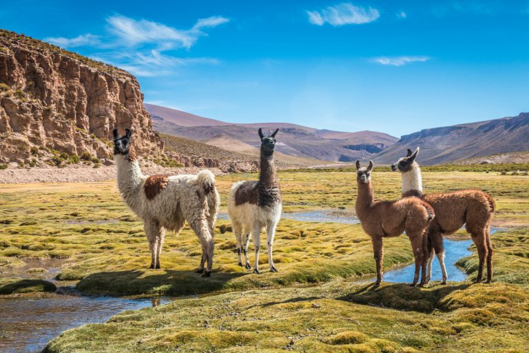 Bolivie tourisme